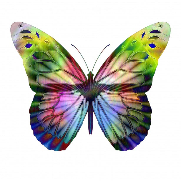 Butterflies /　ちょ　 /　チョ / 3"  / 赤